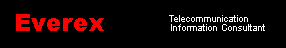 Everex: Internet Marketing and Publicity Consultant